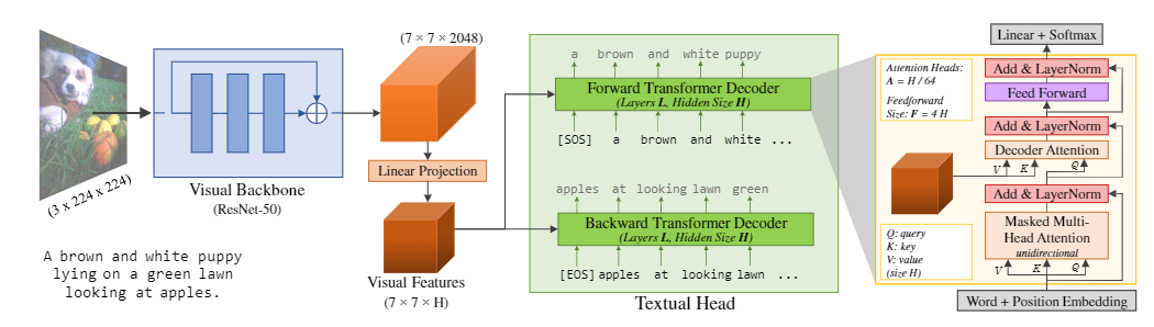 Vision Representation From Textual